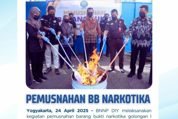 BNNP DIY Musnahkan Ganja 805 Gram, Terbongkar Modus Kirim Paket Saat Arus Mudik BNNP DIY Musnahkan Ganja 805 Gram, Terbongkar Modus Kirim Paket Saat Arus Mudik